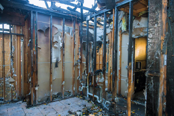 Professional Fire Damage Removal technician working in Mill Creek, WA
